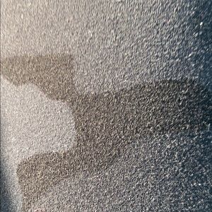 Meet your Posher, Delaney